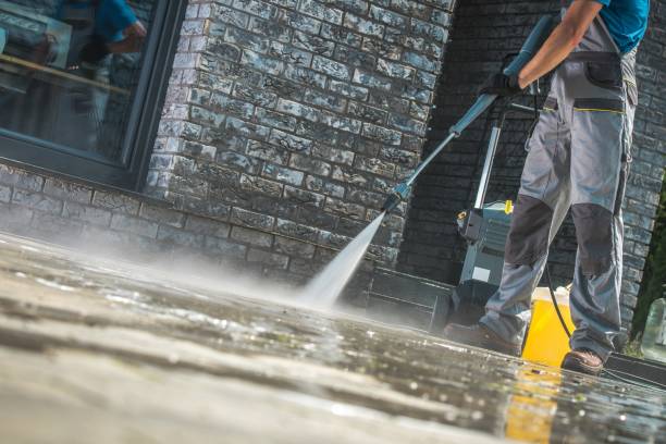 Animal Enclosure Cleaning in Girard, IL