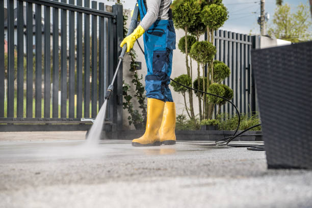 Best Gutter Cleaning  in Girard, IL